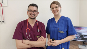 Neue Schwerpunkte  – der Zeitungsartikel